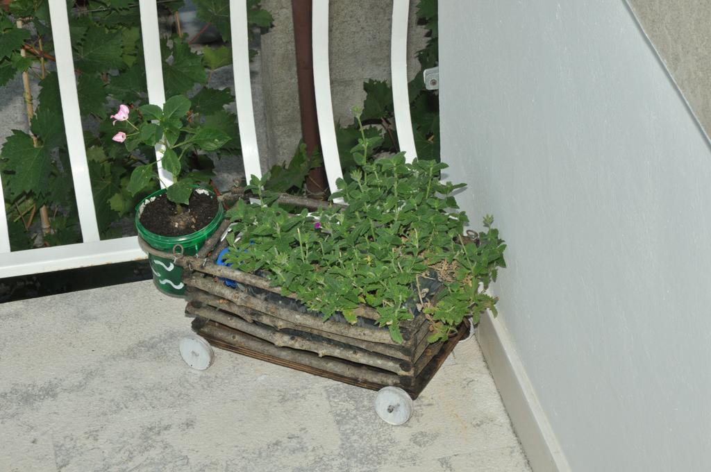 Apartments La Dolce Vita Herceg Novi Eksteriør bilde